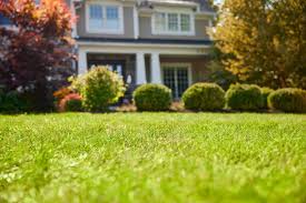 Landscaped front yard